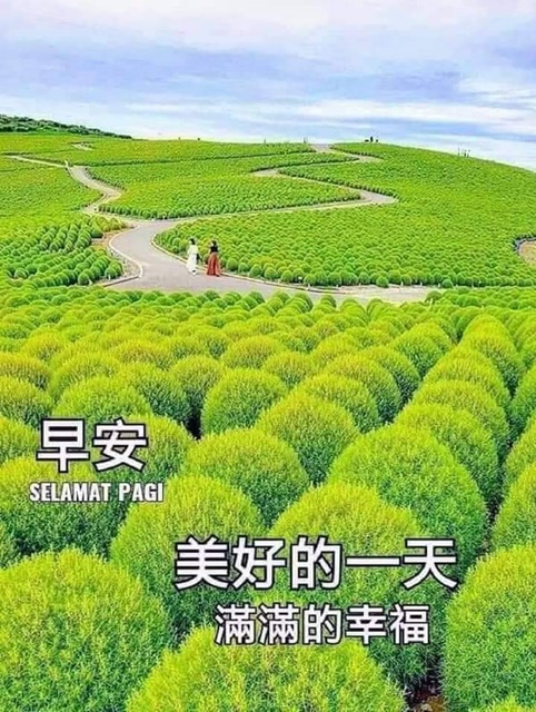 按我可連結至更清楚的圖片